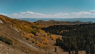 a view of a mountain range with trees in the foreground