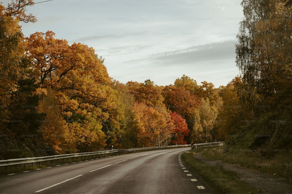 a road surrounded by trees with orange and yellow leaves