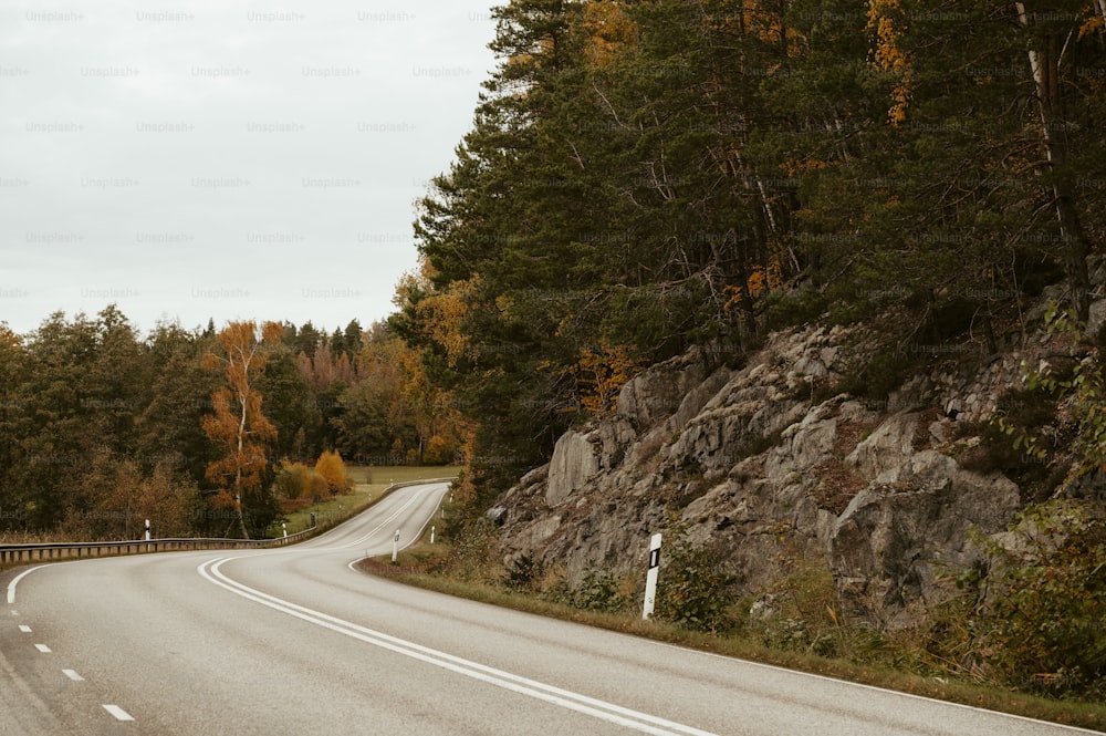 an empty road in the middle of a wooded area