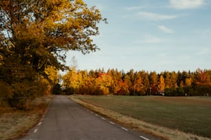 a rural road with trees in the background