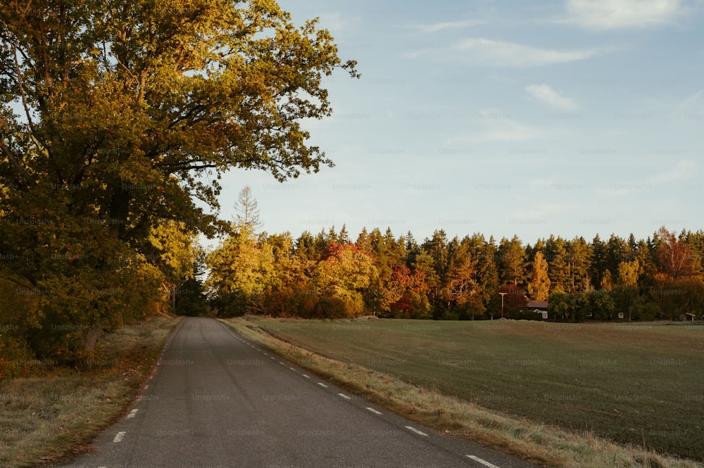 a rural road with trees in the background