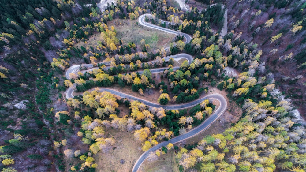 an aerial view of a winding road surrounded by trees