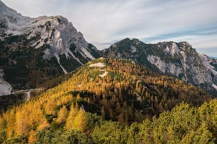 a view of a mountain range with trees in the foreground