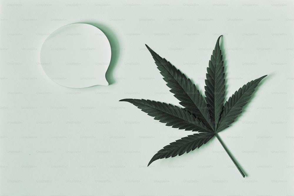 Ein Marihuana-Blatt befindet sich neben einer Sprechblase