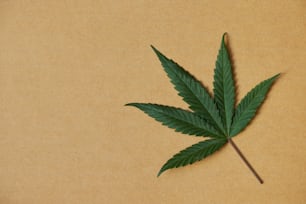 ein Marihuana-Blatt auf braunem Hintergrund