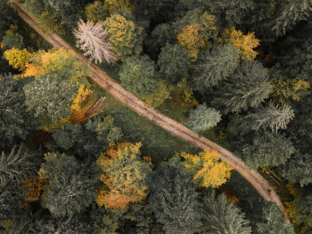 an aerial view of a road in the middle of a forest