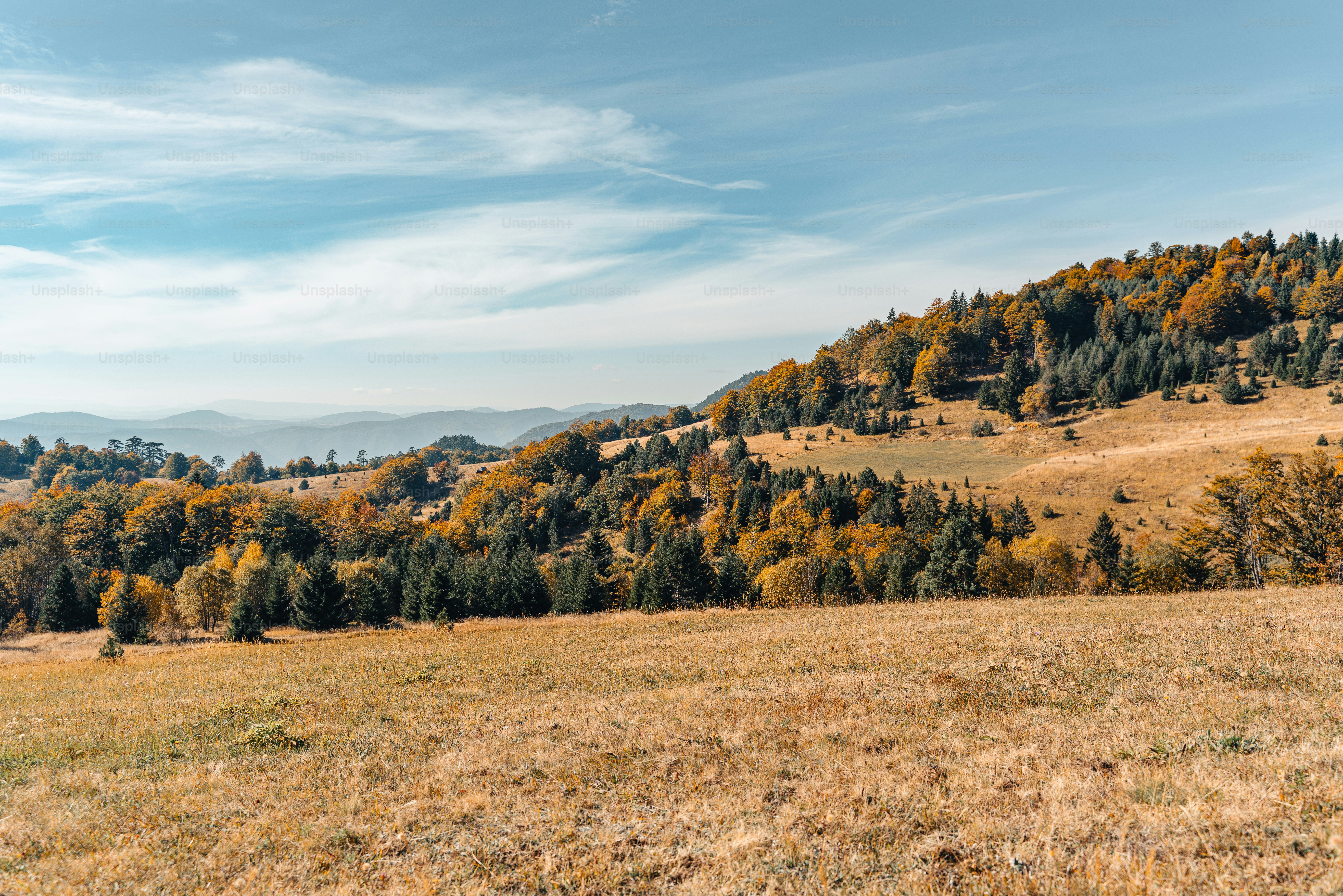 a grassy field with a mountain in the background
