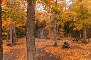ein bewaldetes Gebiet mit einem Picknicktisch und einem Wasserfall im Hintergrund