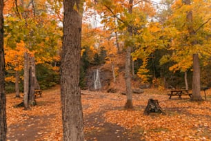 Una zona boscosa con una mesa de picnic y una cascada al fondo