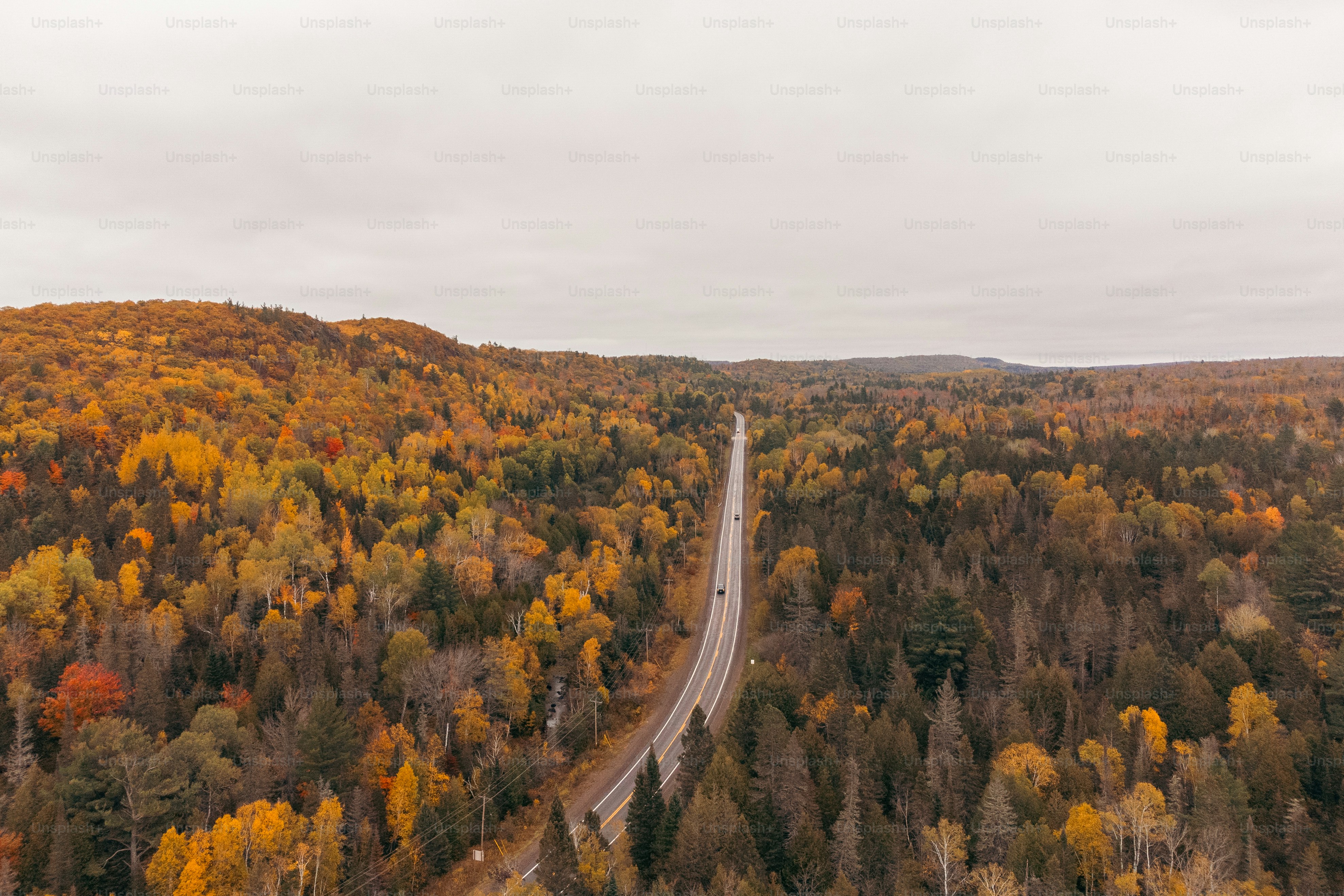 an aerial view of a road surrounded by trees
