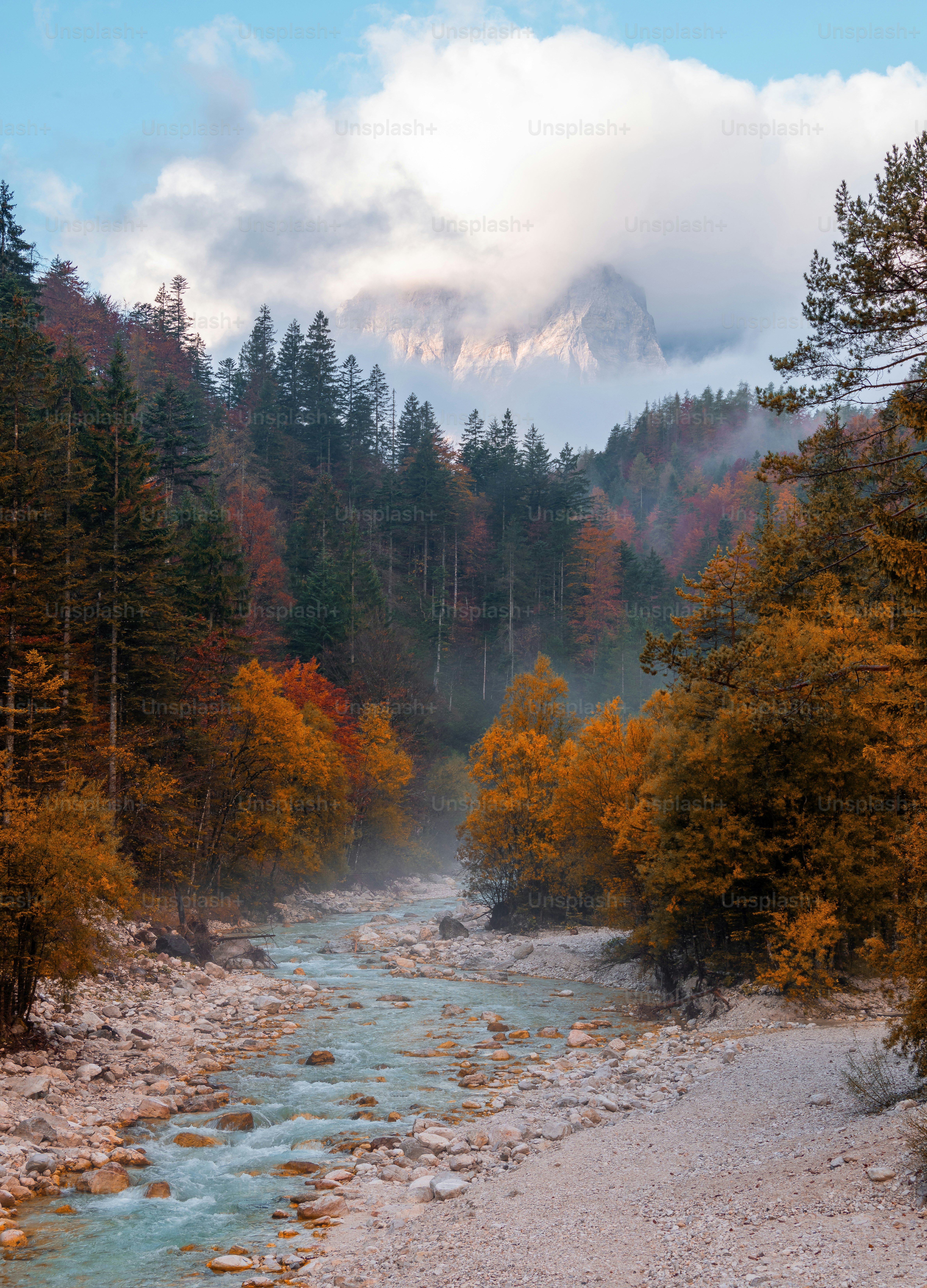 A river running through a forest with a mountain in the background ...
