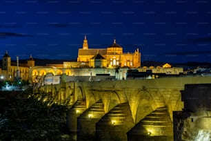 Mezquita-Catedral und Puente Romano - Moschee-Kathedrale und die römische Brücke in Córdoba, Andalusien, Spanien bei Nacht