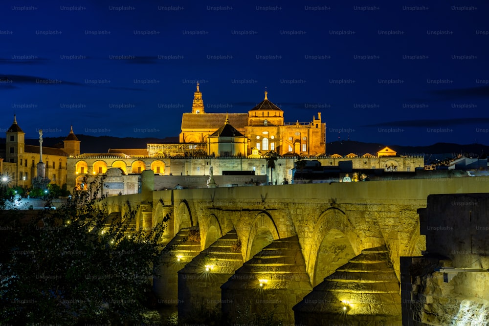 Mezquita-Catedral and Puente Romano - Mosque-Cathedral and the Roman Bridge in Cordoba, Andalusia, Spain at night