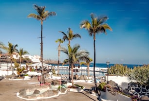 Palm walk in Puerto de la Cruz on a sunny day