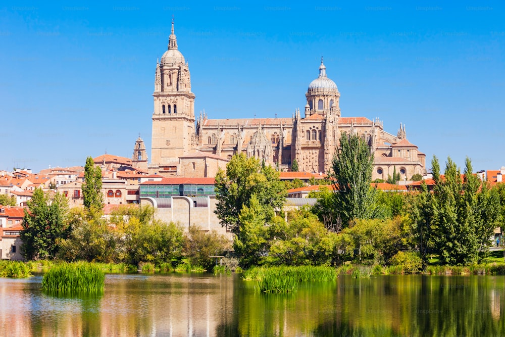 La cathédrale de Salamanque est une cathédrale de style gothique tardif et baroque située dans la ville de Salamanque, en Castille-et-León, en Espagne
