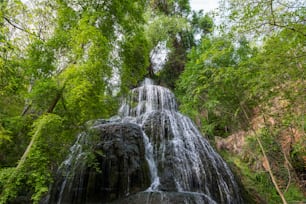 Water flowing over the stones and green musk in the course of the Piedra River in Aragon, Spain.