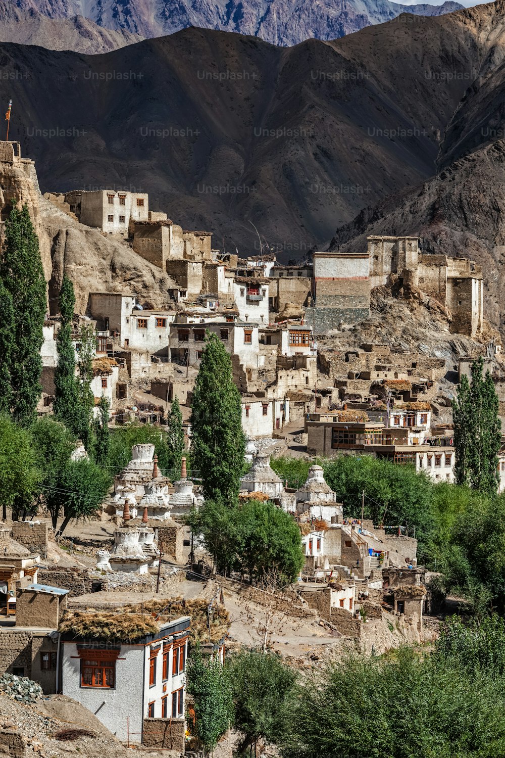 Monasterio budista y pueblo de Lamayuru gompa en el Himalaya. Ladakh, India