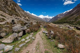 히말라야의 옛 무역로는 Sangla Valley의 Chitkul 마을에서 티베트로 가는 돌로 둘러싸여 있습니다. 히마찰프라데시, 인도