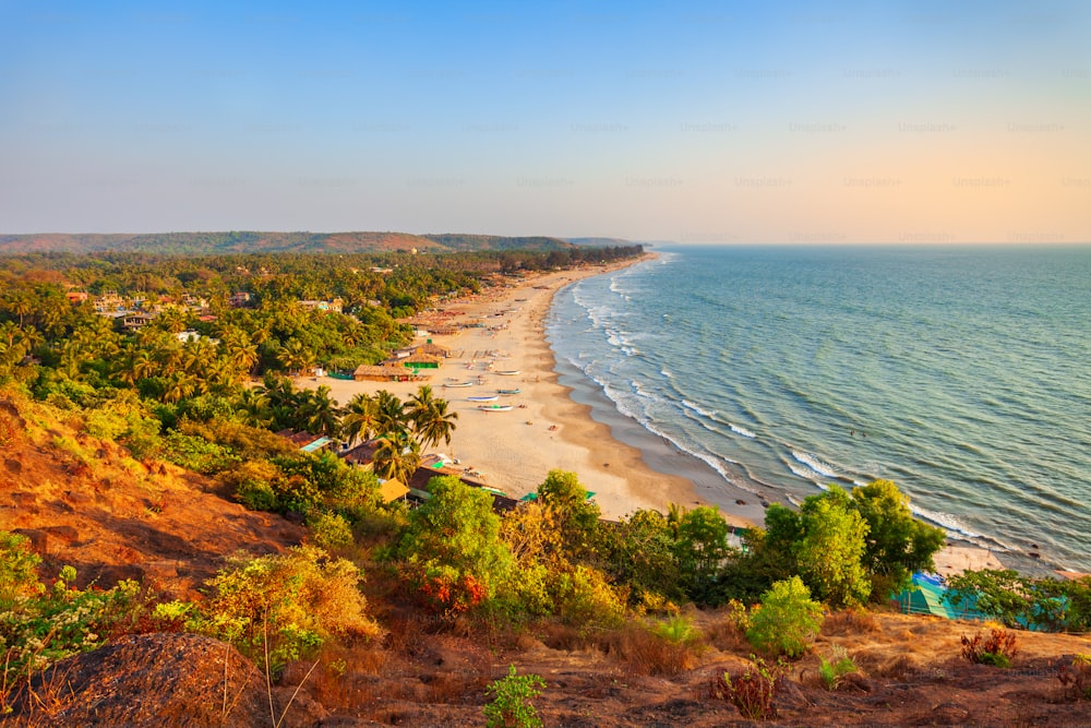 Beauty yellow sand Arambol beach aerial panoramic view. Arambol is a village in north Goa, south India.
