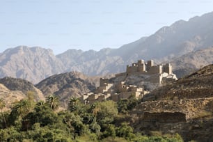 The village of Thee Ain in Al-Baha, Saudi Arabia is a unique heritage site that includes old archaeological buildings