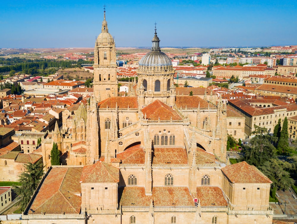 La cathédrale de Salamanque est une cathédrale de style gothique tardif et baroque située dans la ville de Salamanque, en Castille-et-León, en Espagne