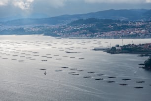 Muschelfarmen (Bateas) in der Mündung der Ria de Vigo, mit der Stadt Vigo im Hintergrund.