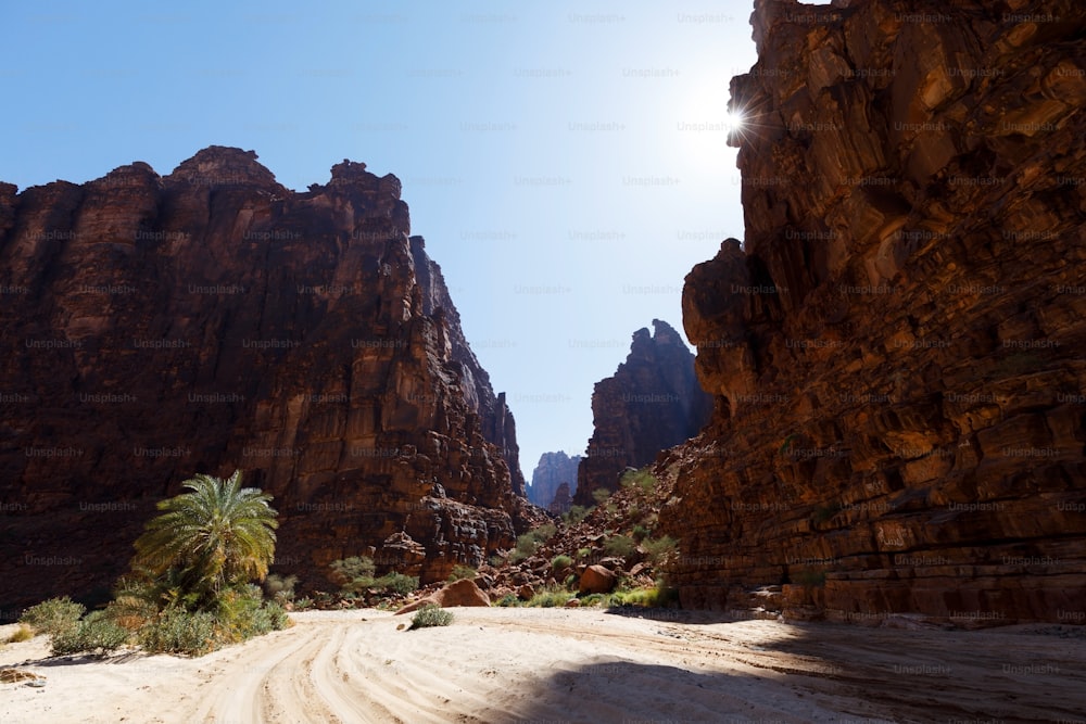 Wadi Disah, auch bekannt als Wadi Qaraqir, ist ein 15 Kilometer langer Canyon, der durch den Jebel Qaraqir verläuft, ein Sandsteinmassiv, das etwa 80 Kilometer südlich der Stadt Tabuk in Saudi-Arabien liegt