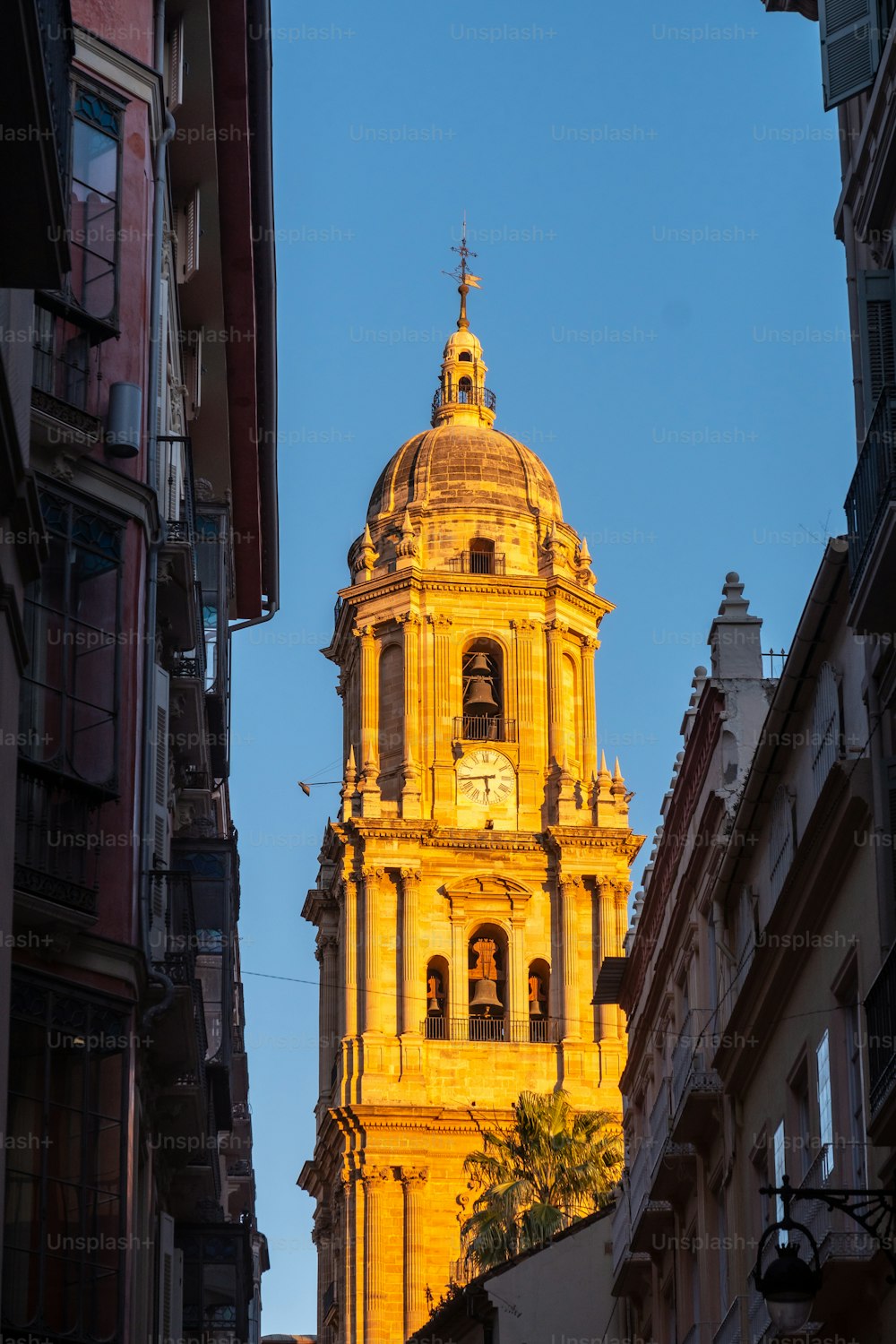 Cathedral of the Incarnation of the city of Malaga, Andalusia. Spain
