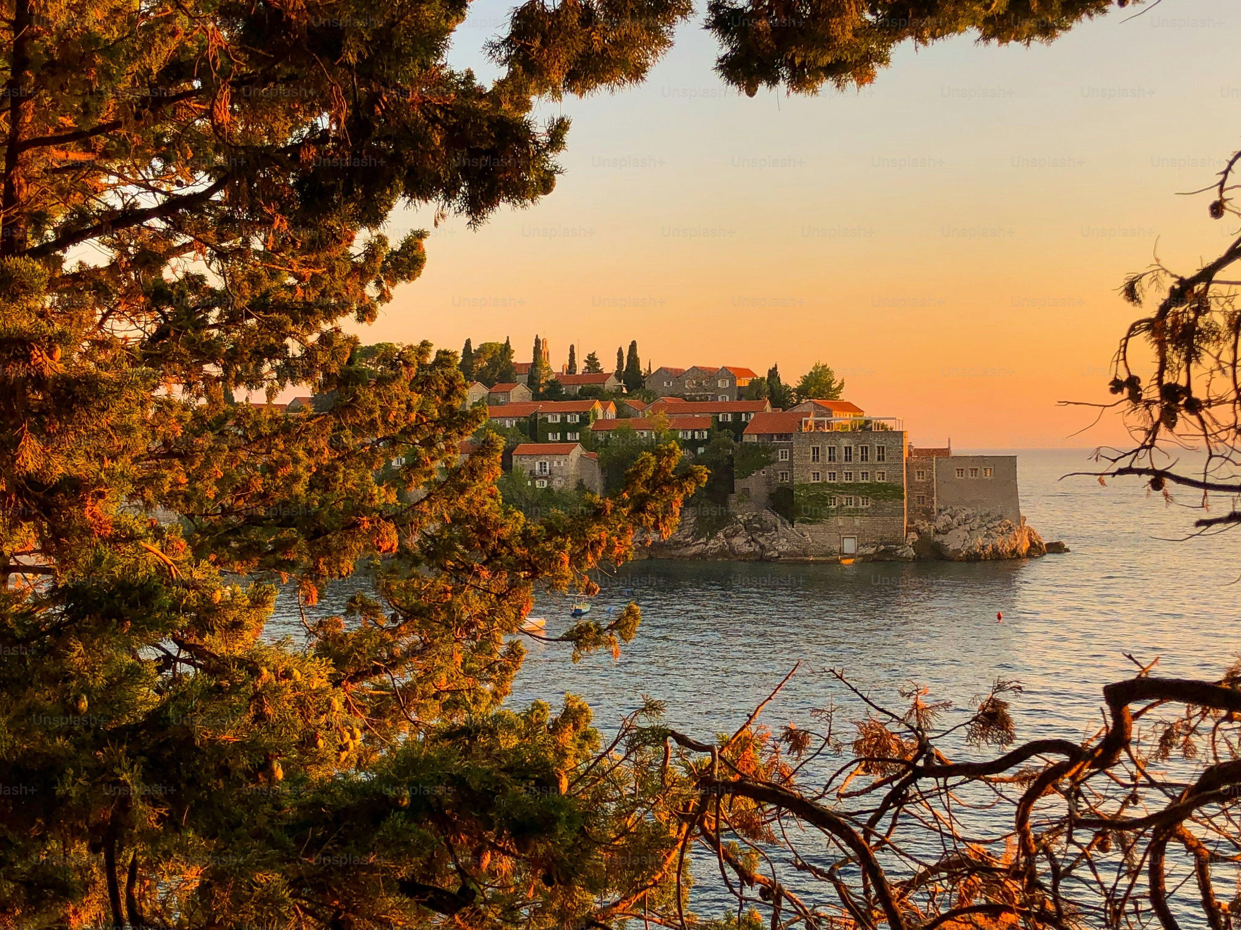 Une vue panoramique de Sveti Stefan se déroulant derrière les arbres dans le feuillage d’automne au coucher du soleil