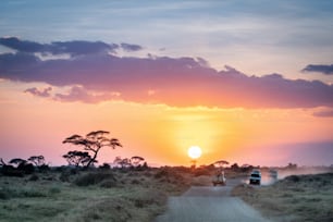 Il tramonto africano sui veicoli da safari nel Masai Mara, Nairobi