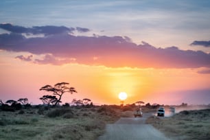 Le coucher de soleil africain sur les véhicules de safari dans le Masaï Mara, Nairobi