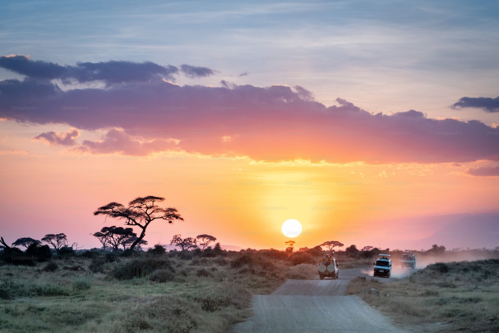 Der afrikanische Sonnenuntergang über Safarifahrzeugen in der Masai Mara, Nairobi