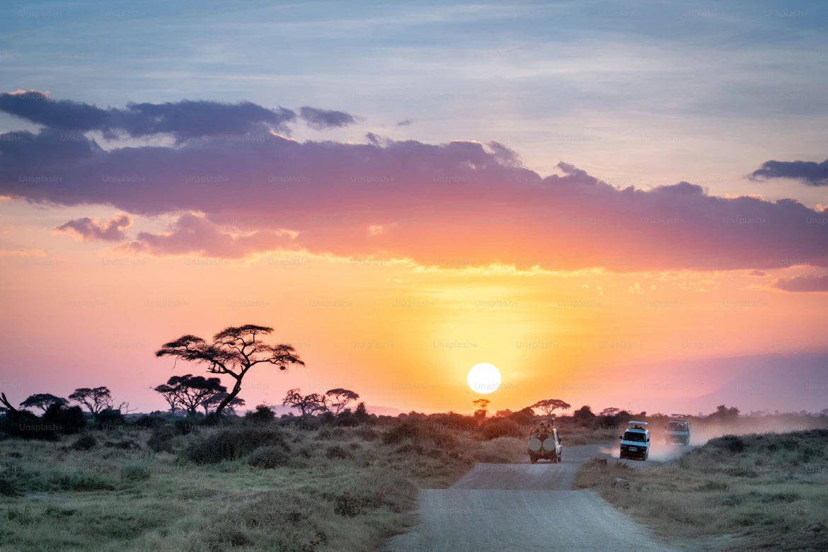 Open safari vehicle on early morning game drive