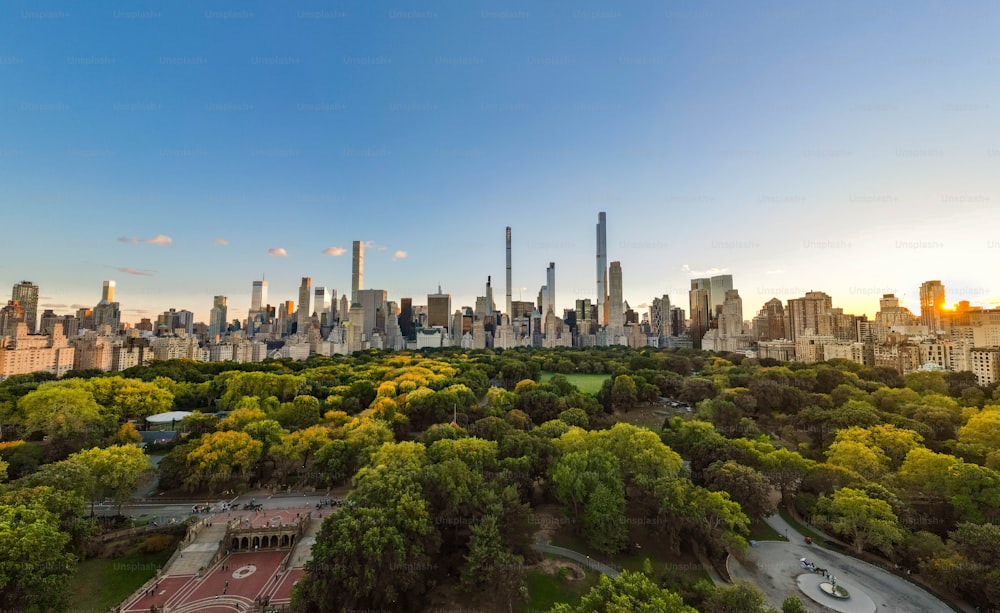 The Central Park in downtown Manhattan with the New York City skyline in the background