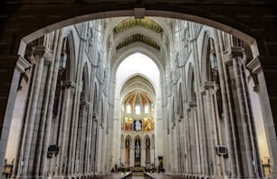 스페인 마드리드에서 촬영한 알무데나 대성당(Catedral de la Almudena)의 아름다운 제단을 로우 앵글로 촬영한 사진