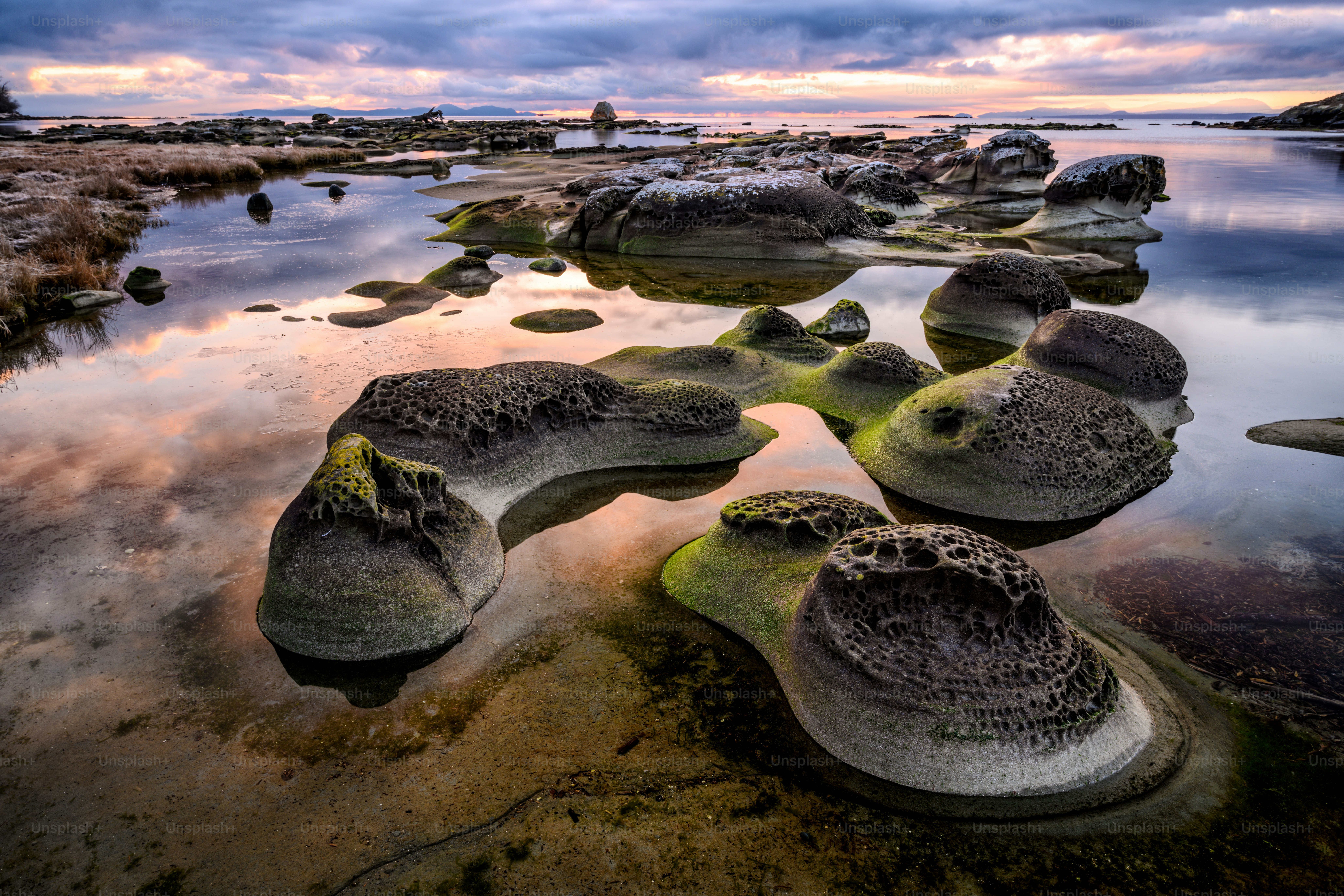 The Heron Rocks covered in mosses surrounded by the sea in the Hornby Island, Canada