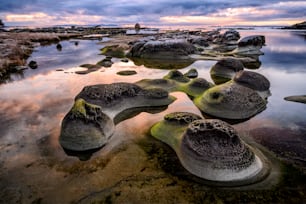 The Heron Rocks covered in mosses surrounded by the sea in the Hornby Island, Canada