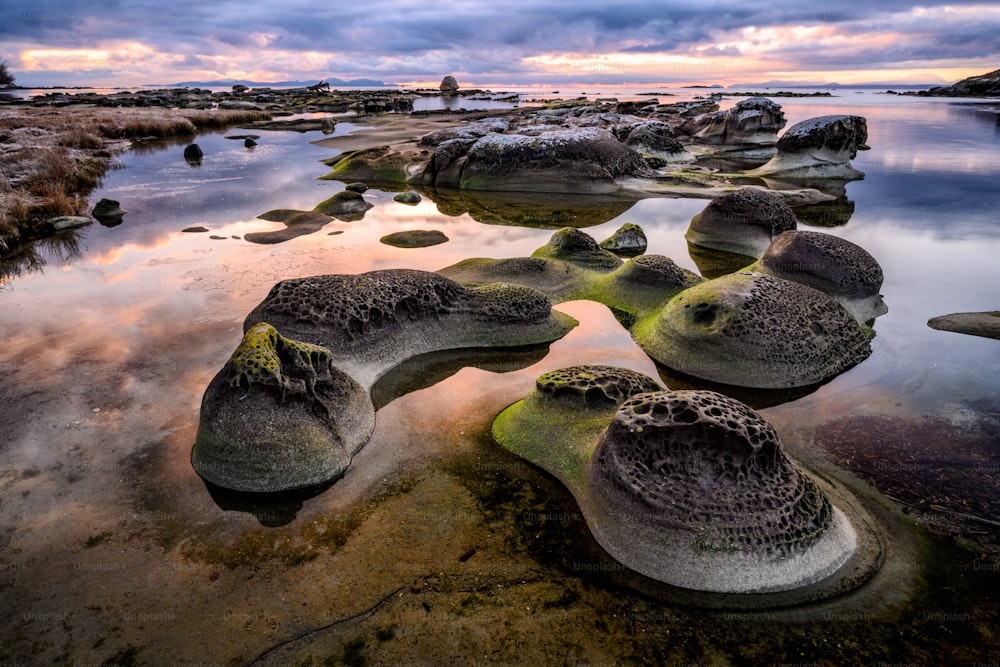 The Heron Rocks covered in mosses surrounded by the sea in the Hornby Island, Canada