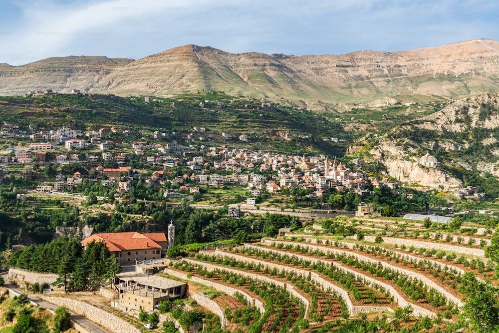 Vista de Bcharre (Bsharri) no Líbano. A cidade tem os únicos Cedros de Deus originais preservados (Cedrus libani)