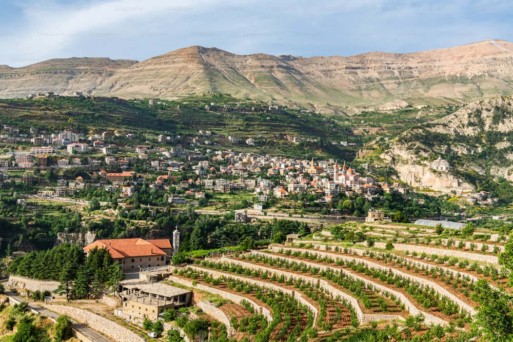 View of Bcharre (Bsharri) in Lebanon. The town has the only preserved original Cedars of God (Cedrus libani)