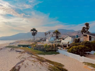 A mesmerizing view of houses on the beach with trees and palms, mountains in the background