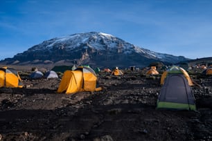 Le tende in un campeggio vicino al Kilimangiaro in Tanzania