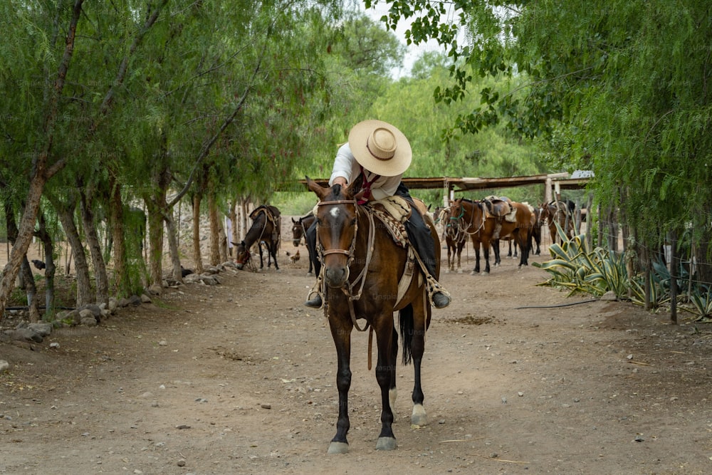 Un gaucho argentino maschio di Mendoza accarezza il suo cavallo