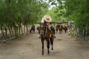 Un gaucho argentino de Mendoza acariciando a su caballo