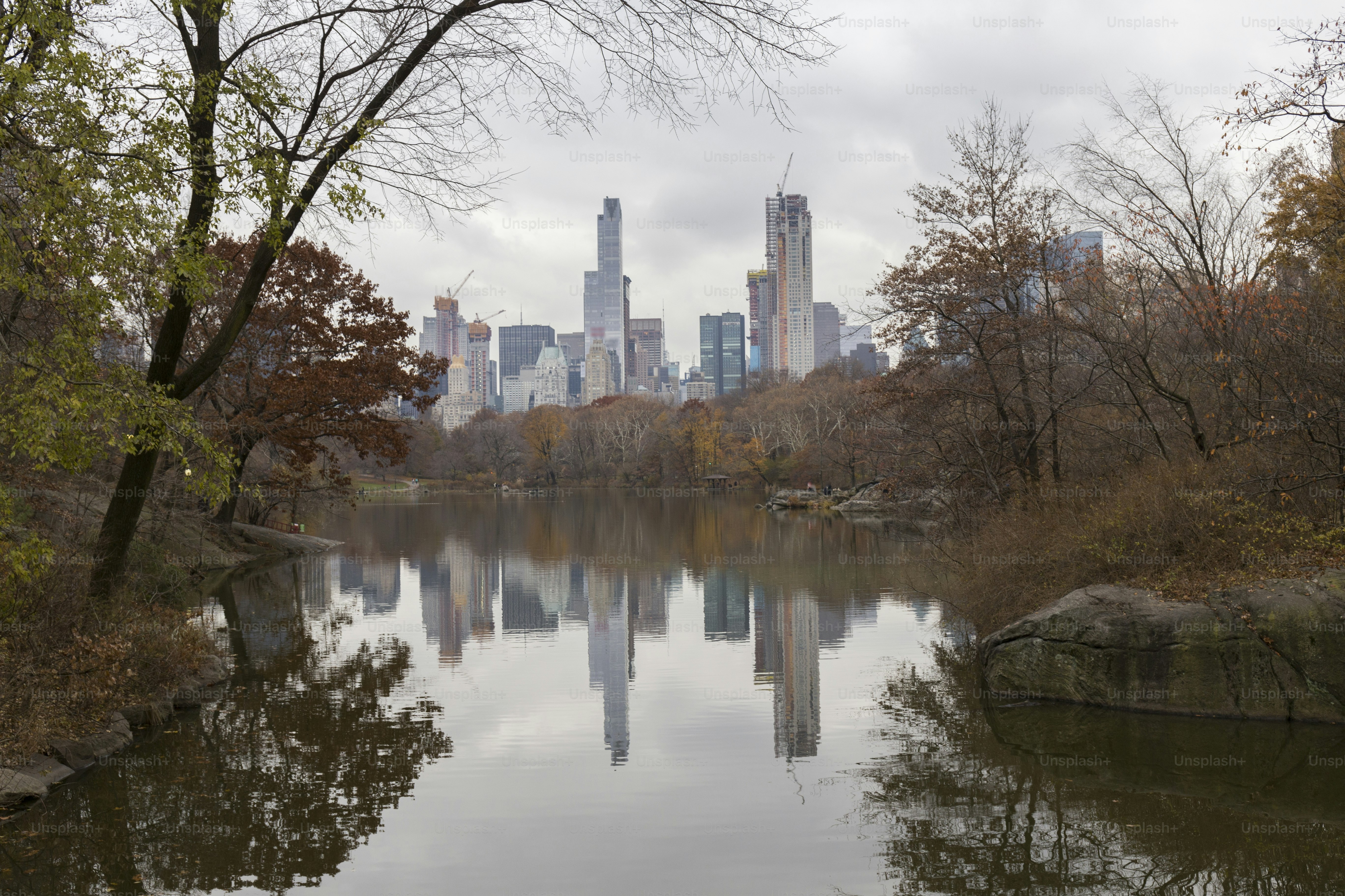 Manhattan skyline reflected in a Central Park lake, cloudy winter day, some trees have lost their leaves