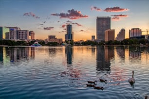 Der Sonnenuntergang in Orlando, Florida, auf dem Lake Eola
