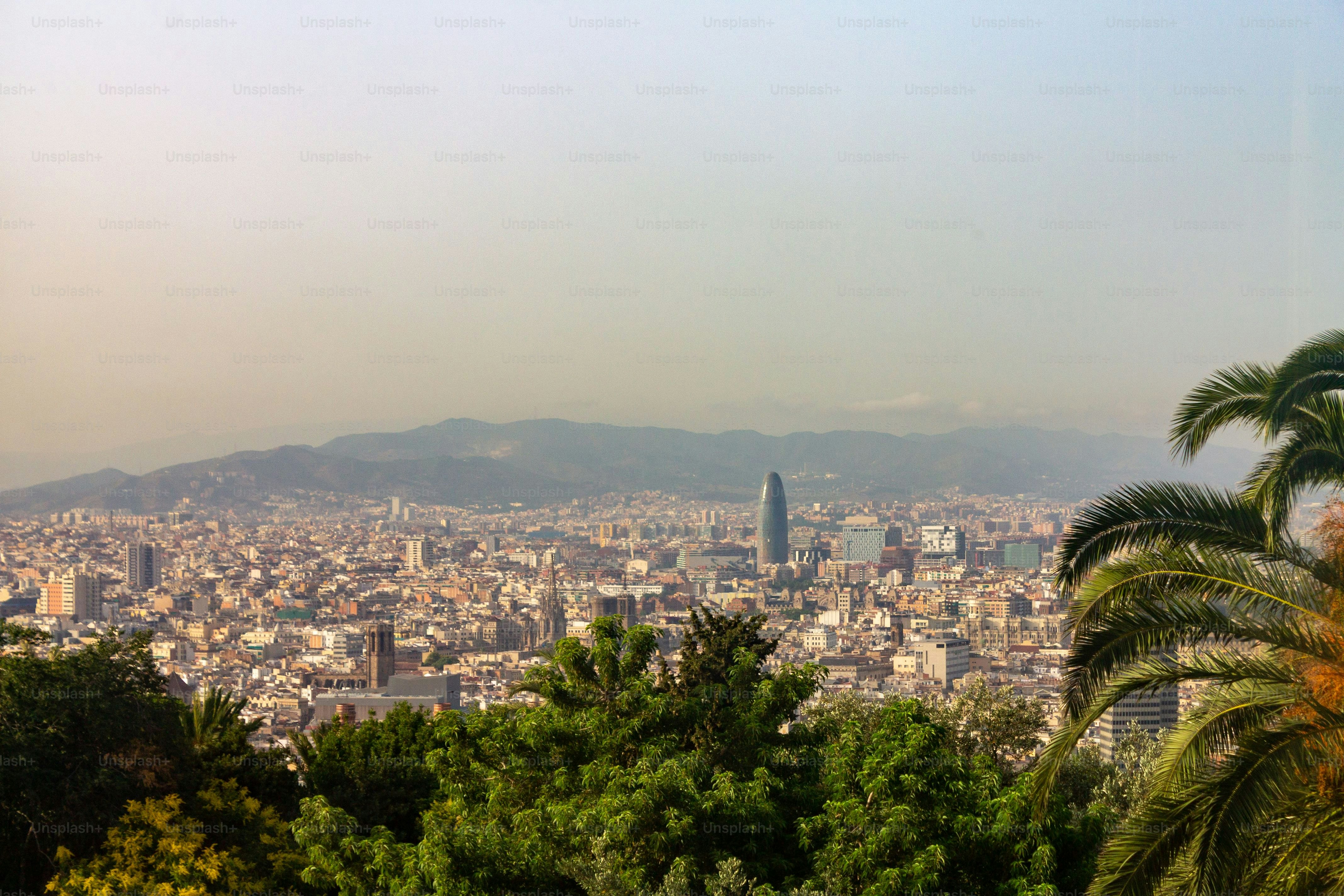 Un bellissimo paesaggio urbano di Barcellona dalla cima di Montjuic, in Spagna