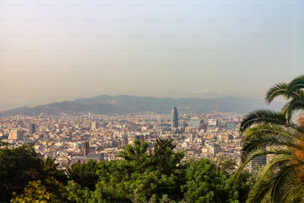 A beautiful cityscape of Barcelona from the top of Montjuic, Spain