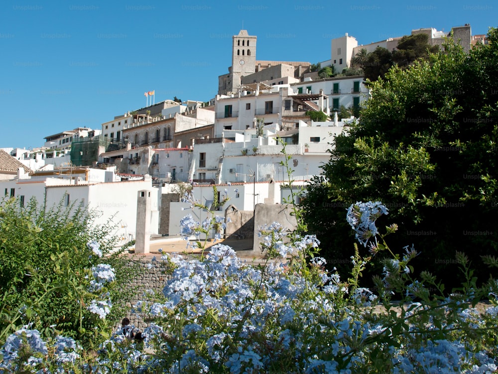 스페인의 식물과 피는 꽃 뒤에 있는 이비자 시의 아름다운 흰색 건축물의 전망