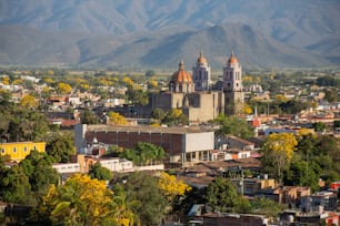 An aerial view of spring trees in the city of Autlan de navarro in Jalisco, Mexico